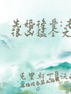先婚后爱:老公很凶猛全文txt下载