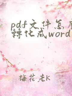 pdf文件怎么转化成word文档