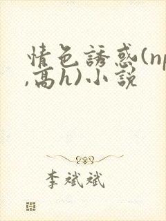 情色诱惑(np,高h)小说