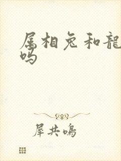 属相兔和龙相配吗