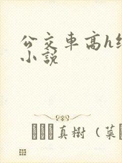 公交车高h纯肉小说