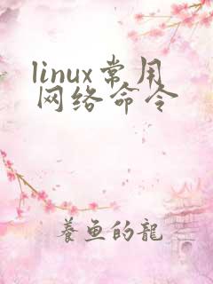 linux常用网络命令