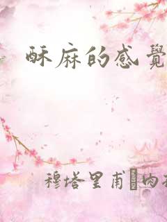 酥麻的感觉小说