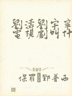 刘涛刘宇宁演的电视剧叫什么名字