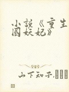 小说《重生之祸国妖妃》
