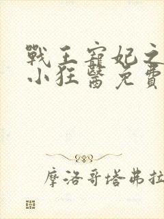战王宠妃之倾世小狂医免费阅读全文