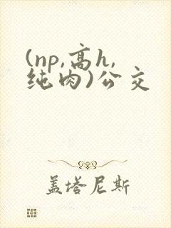 (np,高h,纯肉)公交