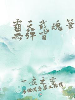 霸天武魂笔趣阁无弹窗