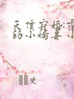 天价宠婚:霍总的小娇妻 小说