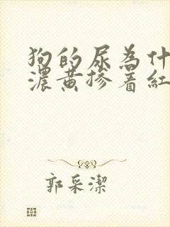 狗的尿为什么是浓黄掺着红色