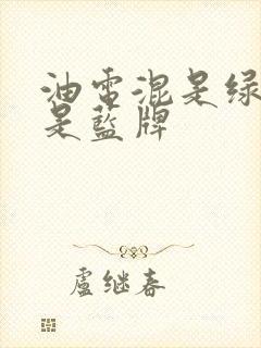 油电混是绿牌还是蓝牌