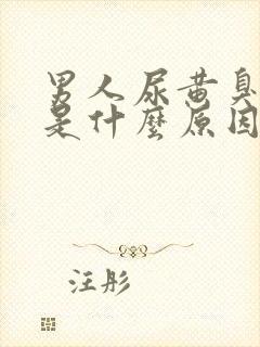 男人尿黄臭味大是什么原因