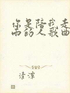 你是陪我走过风雨的人歌曲