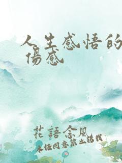人生感悟的句子 伤感