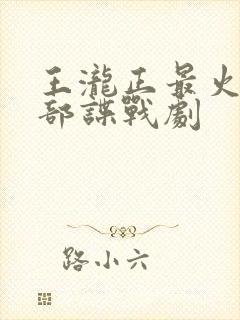 王泷正最火的5部谍战剧