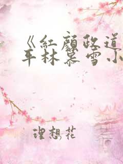 《红颜政道》周平林慕雪小说