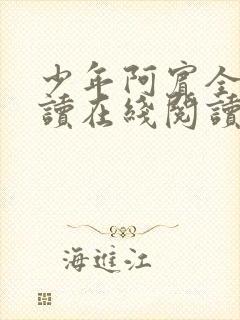 少年阿宾全文阅读在线阅读全文第一季