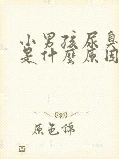 小男孩尿臭味重是什么原因