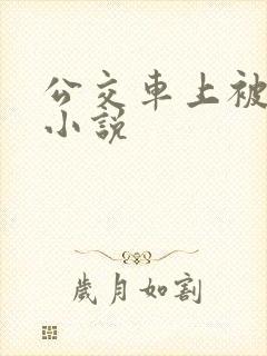 公交车上被插的小说