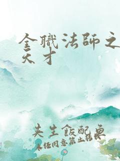 全职法师之绝世天才
