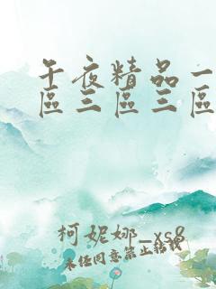 午夜精品一区二区三区三区在线观看