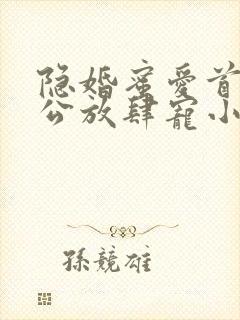 隐婚蜜爱首席老公放肆宠小说