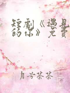 短剧《遇见正确的你》免费观看全集