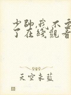 少帅,我不要你了在线观看