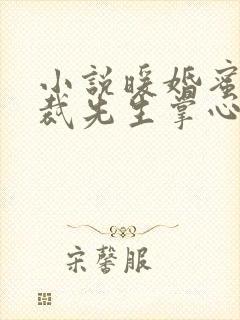 小说暖婚蜜爱总裁先生掌心宠