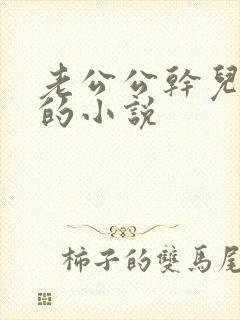 老公公干儿媳妇的小说