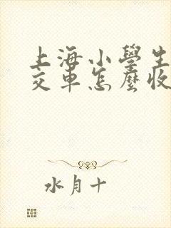 上海小学生坐公交车怎么收费