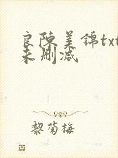良陈美锦txt未删减