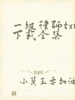 一级律师txt下载全集