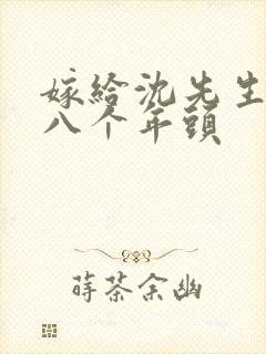 嫁给沈先生的第八个年头