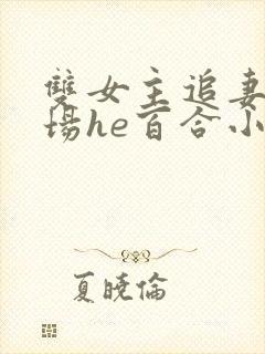 双女主追妻火葬场he百合小说