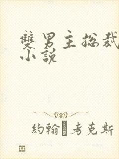 双男主总裁受的小说