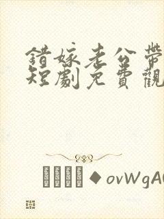错嫁老公带对娃短剧免费观看