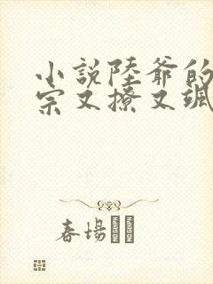 小说陆爷的小祖宗又撩又飒免费阅读