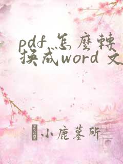 pdf 怎么转换成word 文档 python