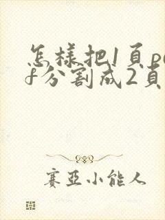 怎样把1页pdf分割成2页