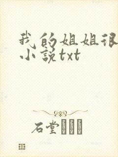 我的姐姐很弟控小说txt