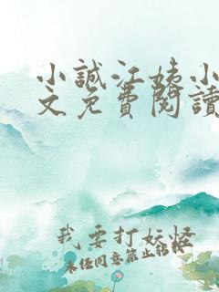 小诚江姨小说全文免费阅读最新章节