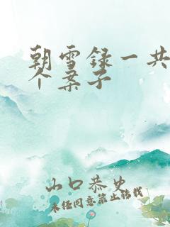 朝雪录一共多少个案子