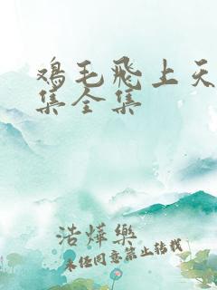 鸡毛飞上天60集全集