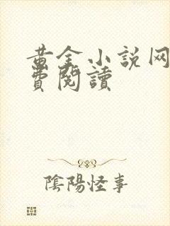 黄金小说网站免费阅读