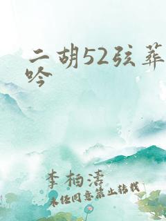 二胡52弦葬花吟