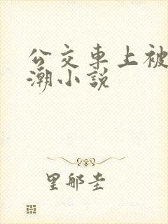 公交车上被摸高潮小说