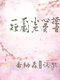 一不小心撩错人短剧免费看