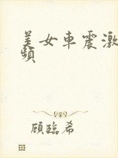 美女车震激情视频