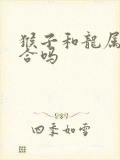 猴子和龙属相相合吗